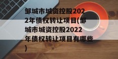 邹城市城资控股2022年债权转让项目(邹城市城资控股2022年债权转让项目有哪些)