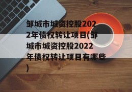 邹城市城资控股2022年债权转让项目(邹城市城资控股2022年债权转让项目有哪些)