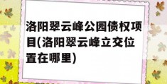 洛阳翠云峰公园债权项目(洛阳翠云峰立交位置在哪里)