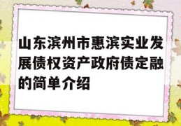 山东滨州市惠滨实业发展债权资产政府债定融的简单介绍