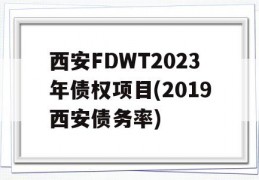 西安FDWT2023年债权项目(2019西安债务率)