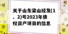 关于山东梁山经发(1、2)号2023年债权资产项目的信息