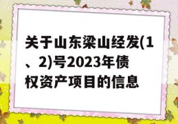 关于山东梁山经发(1、2)号2023年债权资产项目的信息