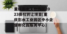 重庆彭水工业园区2023债权转让项目(重庆彭水工业园区中小企业孵化园服务中心)