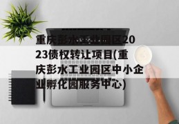 重庆彭水工业园区2023债权转让项目(重庆彭水工业园区中小企业孵化园服务中心)