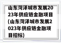 山东菏泽城市发展2023年供应链金融项目(山东菏泽城市发展2023年供应链金融项目招标)