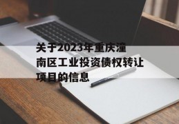 关于2023年重庆潼南区工业投资债权转让项目的信息