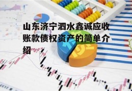 山东济宁泗水鑫诚应收账款债权资产的简单介绍