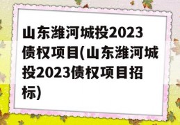 山东潍河城投2023债权项目(山东潍河城投2023债权项目招标)