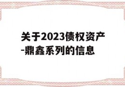 关于2023债权资产-鼎鑫系列的信息