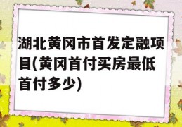 湖北黄冈市首发定融项目(黄冈首付买房最低首付多少)