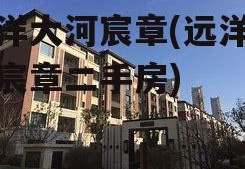 远洋大河宸章(远洋大河宸章二手房)