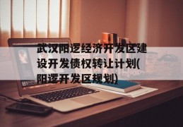 武汉阳逻经济开发区建设开发债权转让计划(阳逻开发区规划)