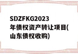 SDZFKG2023年债权资产转让项目(山东债权收购)