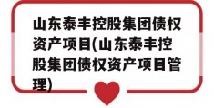 山东泰丰控股集团债权资产项目(山东泰丰控股集团债权资产项目管理)