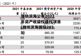 潍坊滨海公有2022年资产收益权债权项目(潍坊滨海国投2021)