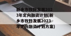 新乡市牧野发展2023年定向融资计划(新乡市牧野发展2023年定向融资计划方案)