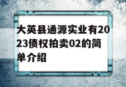 大英县通源实业有2023债权拍卖02的简单介绍