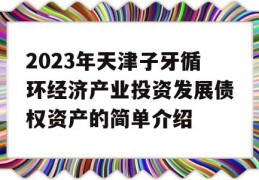 2023年天津子牙循环经济产业投资发展债权资产的简单介绍