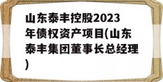 山东泰丰控股2023年债权资产项目(山东泰丰集团董事长总经理)