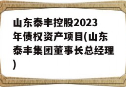 山东泰丰控股2023年债权资产项目(山东泰丰集团董事长总经理)