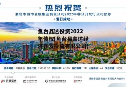 鱼台鑫达投资2022年债权(鱼台县鑫达经济开发投资有限公司)