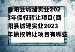 酉阳县城建实业2023年债权转让项目(酉阳县城建实业2023年债权转让项目有哪些)