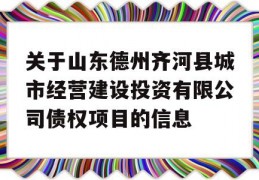 关于山东德州齐河县城市经营建设投资有限公司债权项目的信息