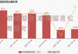 深圳新星(深圳新星公司简介)