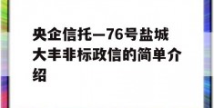 央企信托—76号盐城大丰非标政信的简单介绍