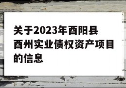 关于2023年酉阳县酉州实业债权资产项目的信息