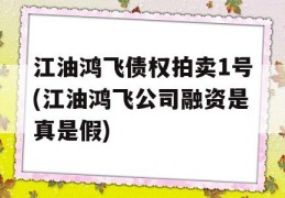 江油鸿飞债权拍卖1号(江油鸿飞公司融资是真是假)