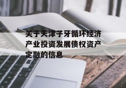 关于天津子牙循环经济产业投资发展债权资产定融的信息