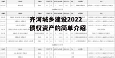 齐河城乡建设2022债权资产的简单介绍