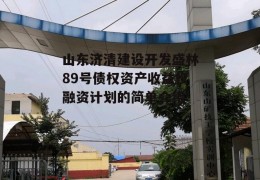 山东济清建设开发盛林89号债权资产收益权融资计划的简单介绍