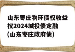 山东枣庄物环债权收益权2024城投债定融(山东枣庄政府债)