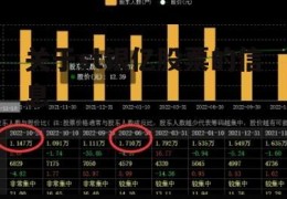 关于st银亿股票的信息