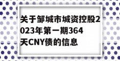 关于邹城市城资控股2023年第一期364天CNY债的信息