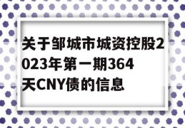 关于邹城市城资控股2023年第一期364天CNY债的信息