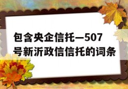 包含央企信托—507号新沂政信信托的词条