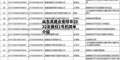 山东高唐众安综合2022年债权1号的简单介绍