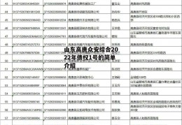 山东高唐众安综合2022年债权1号的简单介绍