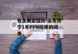 包含央企信托-山东济宁1年PPN标债的词条