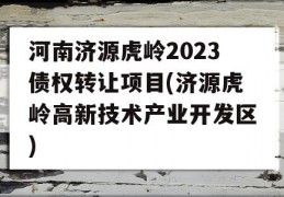 河南济源虎岭2023债权转让项目(济源虎岭高新技术产业开发区)