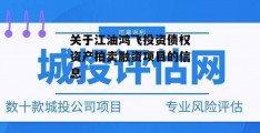 关于江油鸿飞投资债权资产拍卖融资项目的信息