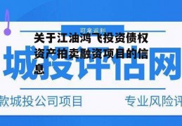 关于江油鸿飞投资债权资产拍卖融资项目的信息