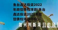 鱼台鑫达投资2022年政信债权项目(鱼台鑫达投资2022年政信债权项目中标)