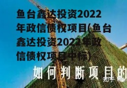 鱼台鑫达投资2022年政信债权项目(鱼台鑫达投资2022年政信债权项目中标)