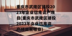 重庆市武隆区建投2023年企业信用资产项目(重庆市武隆区建投2023年企业信用资产项目有哪些)