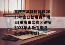 重庆市武隆区建投2023年企业信用资产项目(重庆市武隆区建投2023年企业信用资产项目有哪些)